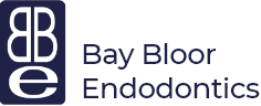 Bay Bloor Endodontics Logo