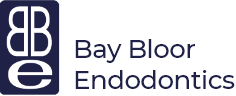 Bay Bloor Endodontics